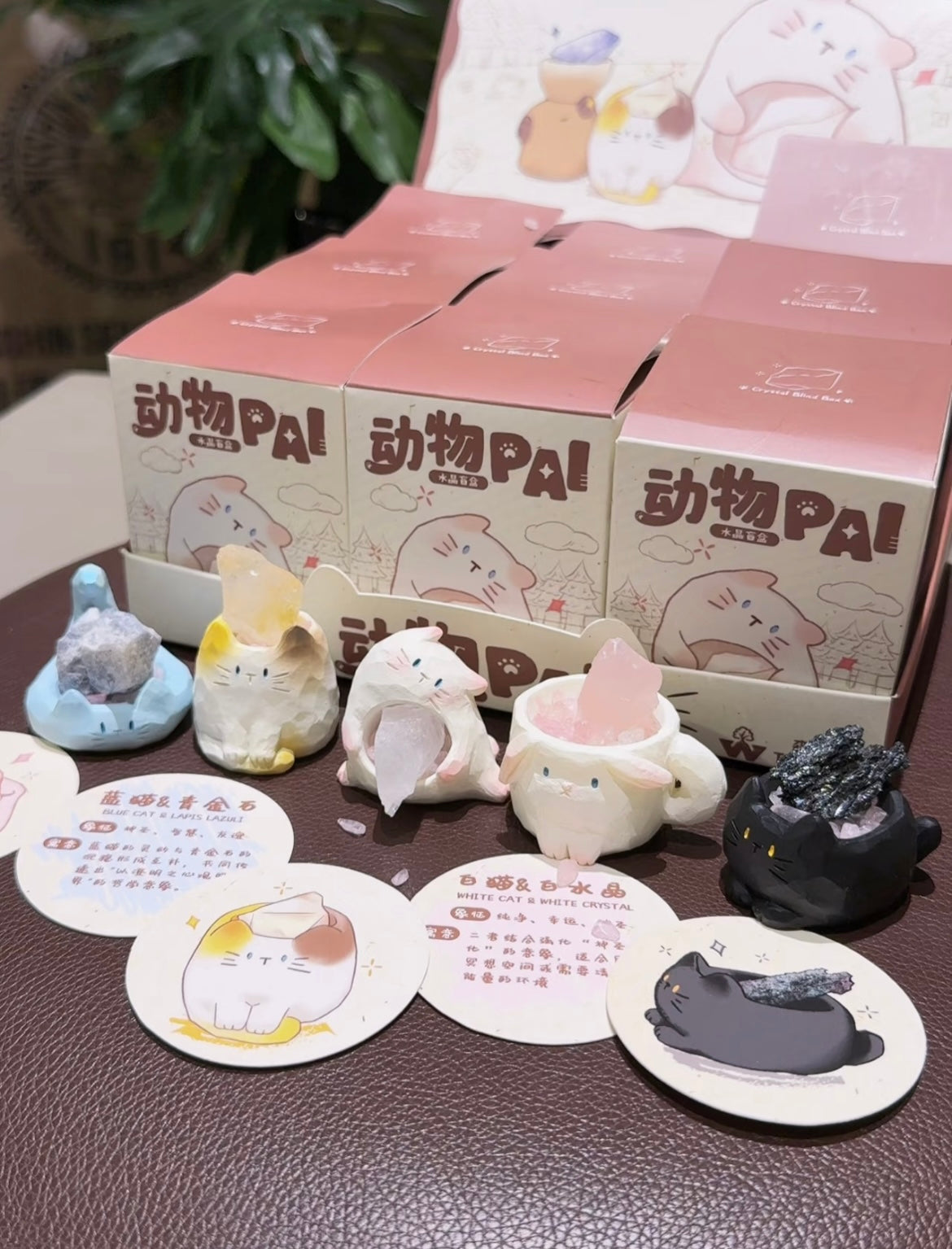 Crystal Beanies Blind Box Australia