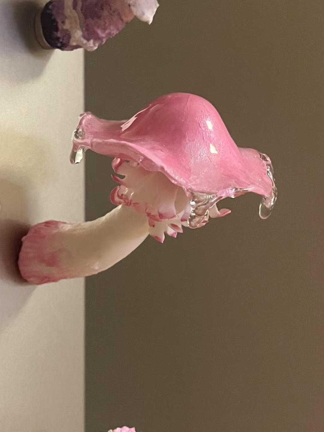 Magic Mushroom Magnets - Cheeky Desk Guardians | FREE Delivery $50+